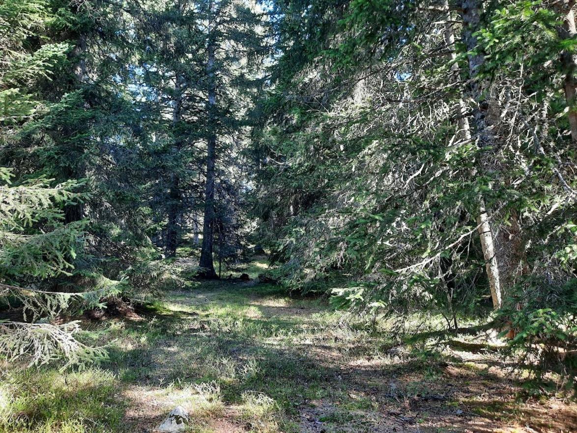 La Petite Foret Chamrousse 1700 Ngoại thất bức ảnh