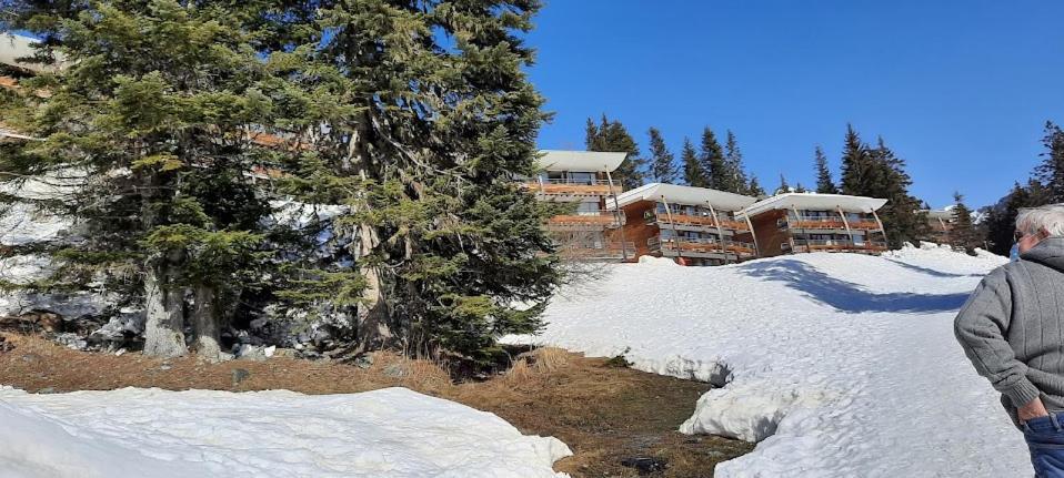 La Petite Foret Chamrousse 1700 Ngoại thất bức ảnh
