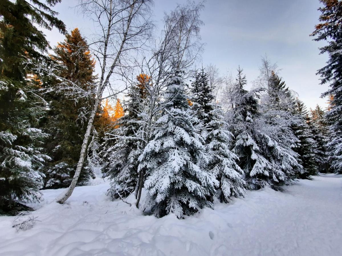 La Petite Foret Chamrousse 1700 Ngoại thất bức ảnh