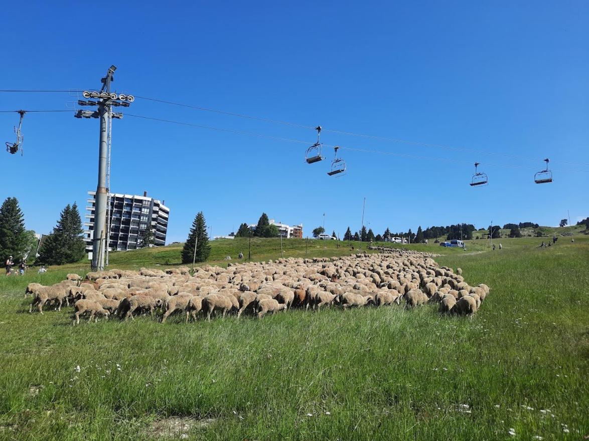 La Petite Foret Chamrousse 1700 Ngoại thất bức ảnh