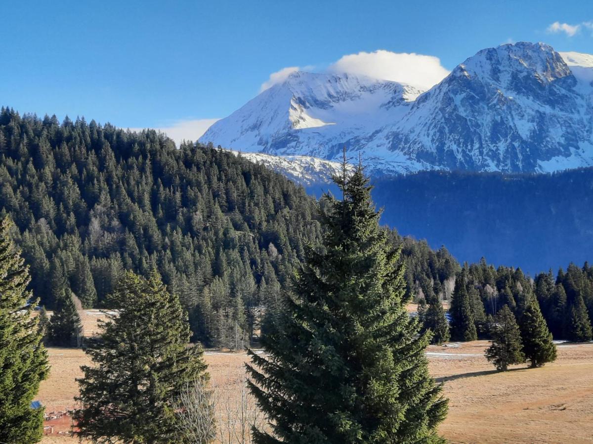 La Petite Foret Chamrousse 1700 Ngoại thất bức ảnh