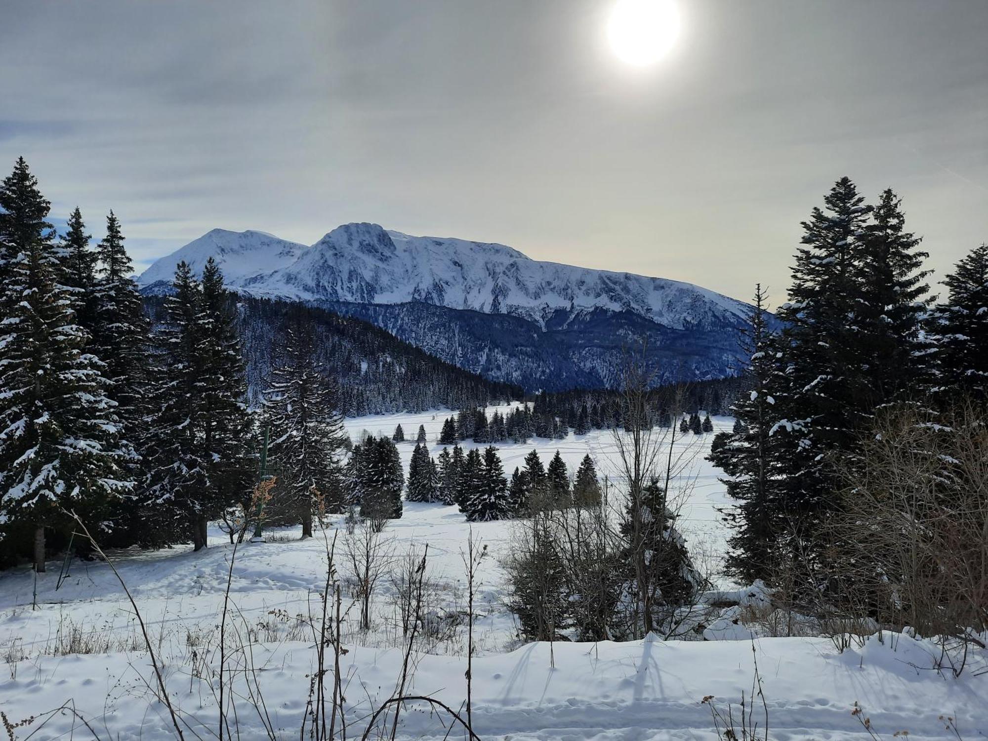 La Petite Foret Chamrousse 1700 Ngoại thất bức ảnh