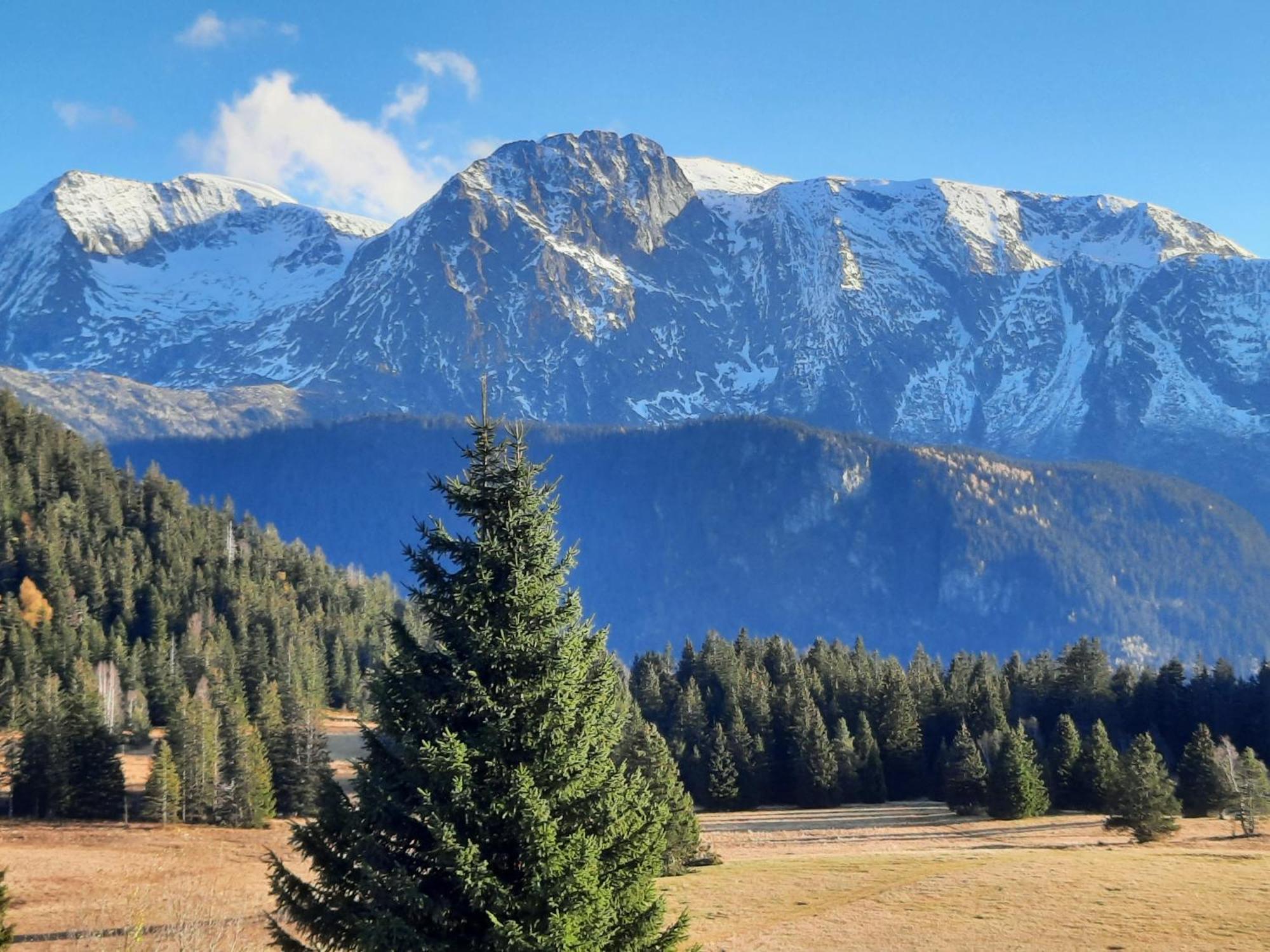 La Petite Foret Chamrousse 1700 Ngoại thất bức ảnh