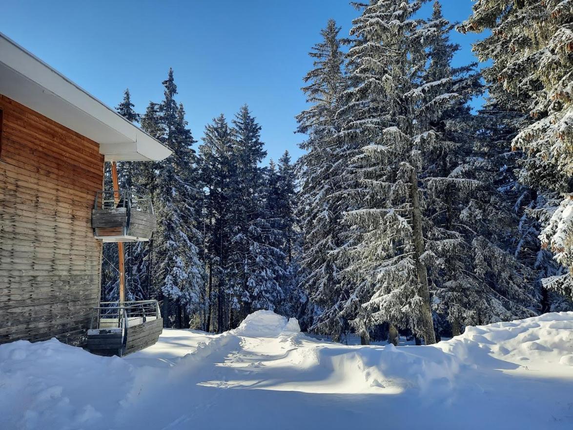 La Petite Foret Chamrousse 1700 Ngoại thất bức ảnh